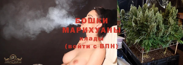 дживик Вяземский
