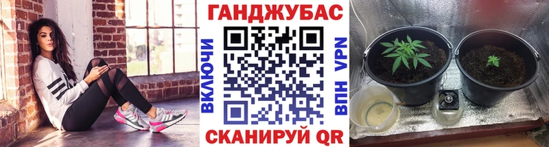 Канабис VHQ  даркнет сайт  Орехово-Зуево 